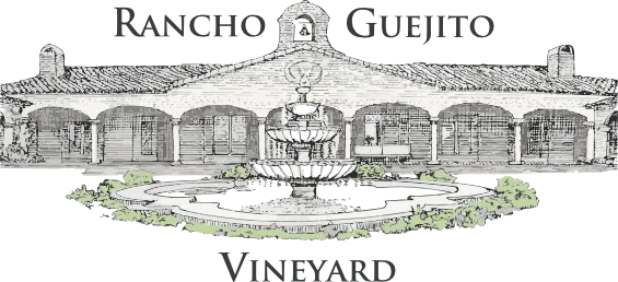 Rancho Guejito